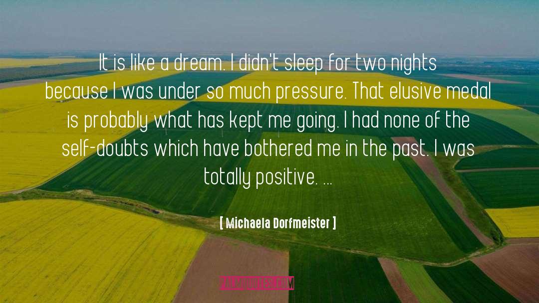 Michaela Dorfmeister Quotes: It is like a dream.