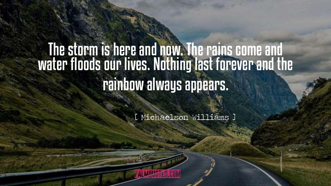 Michaelson Williams Quotes: The storm is here and