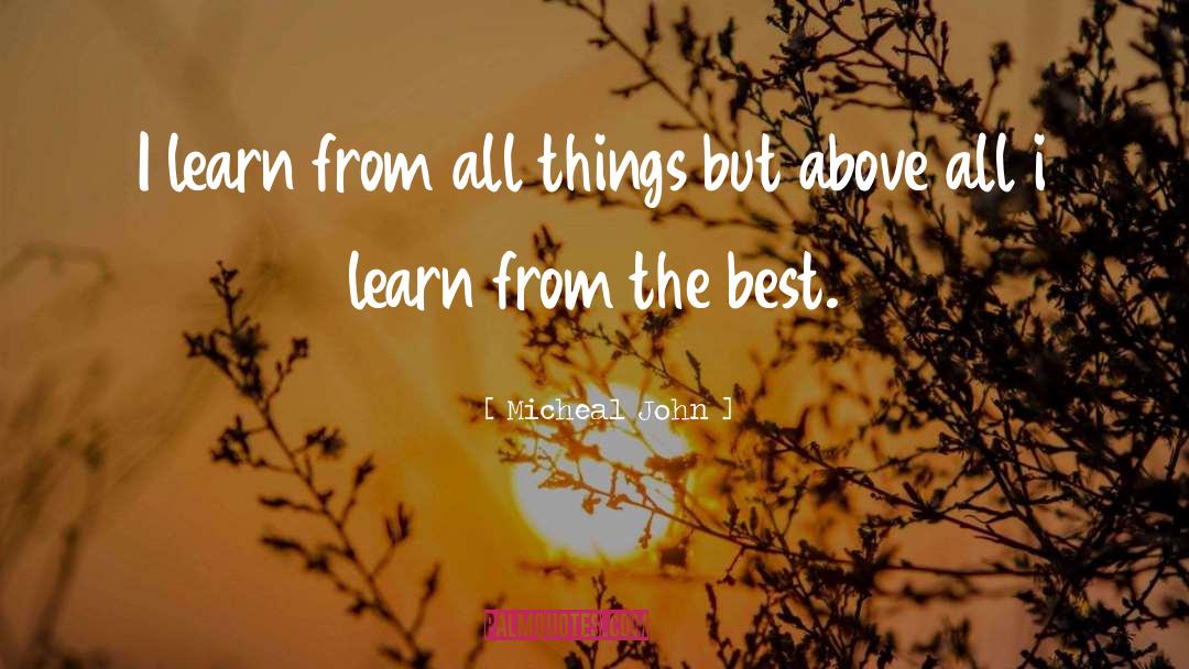 Micheal John Quotes: I learn from all things