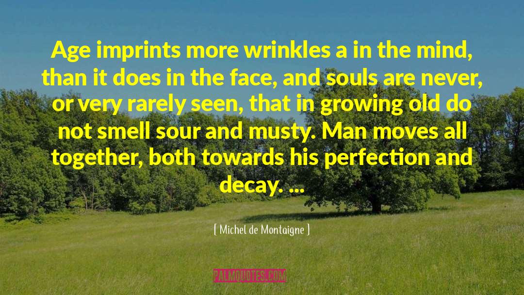 Michel De Montaigne Quotes: Age imprints more wrinkles a