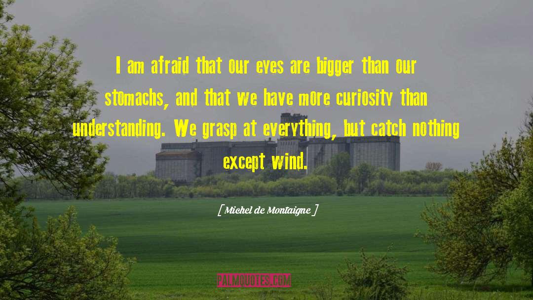 Michel De Montaigne Quotes: I am afraid that our