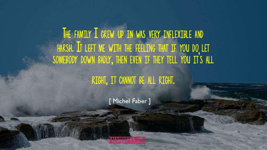 Michel Faber Quotes: The family I grew up