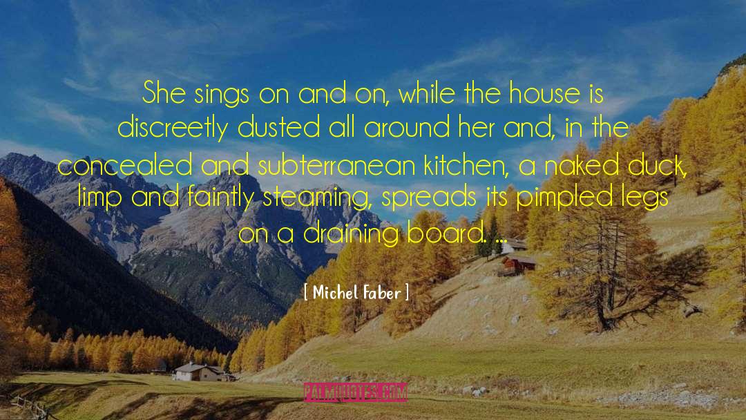 Michel Faber Quotes: She sings on and on,