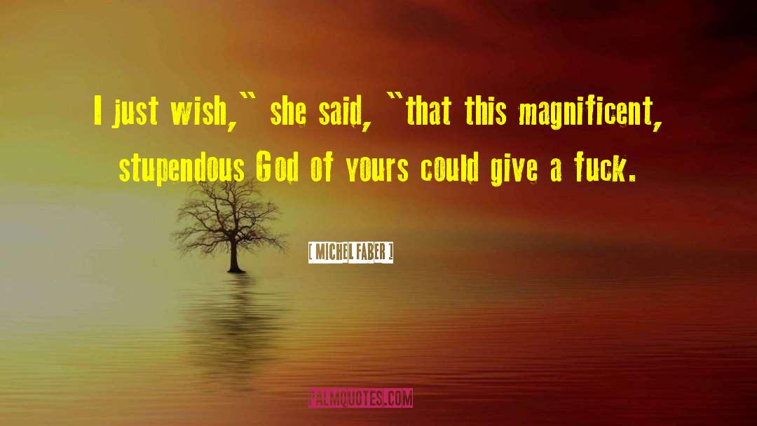 Michel Faber Quotes: I just wish,