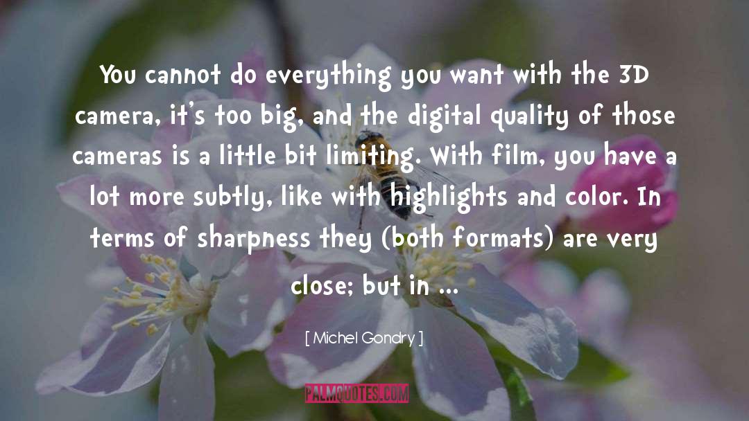 Michel Gondry Quotes: You cannot do everything you