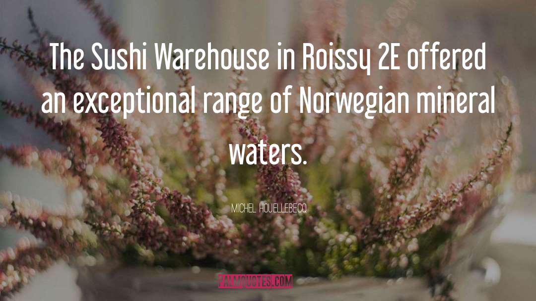 Michel Houellebecq Quotes: The Sushi Warehouse in Roissy