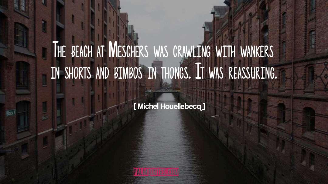 Michel Houellebecq Quotes: The beach at Meschers was