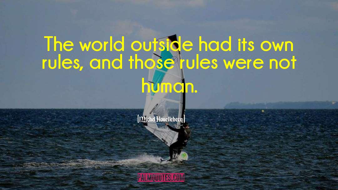Michel Houellebecq Quotes: The world outside had its