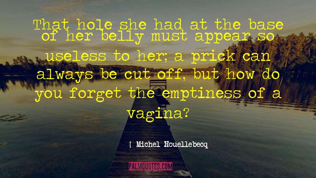 Michel Houellebecq Quotes: That hole she had at