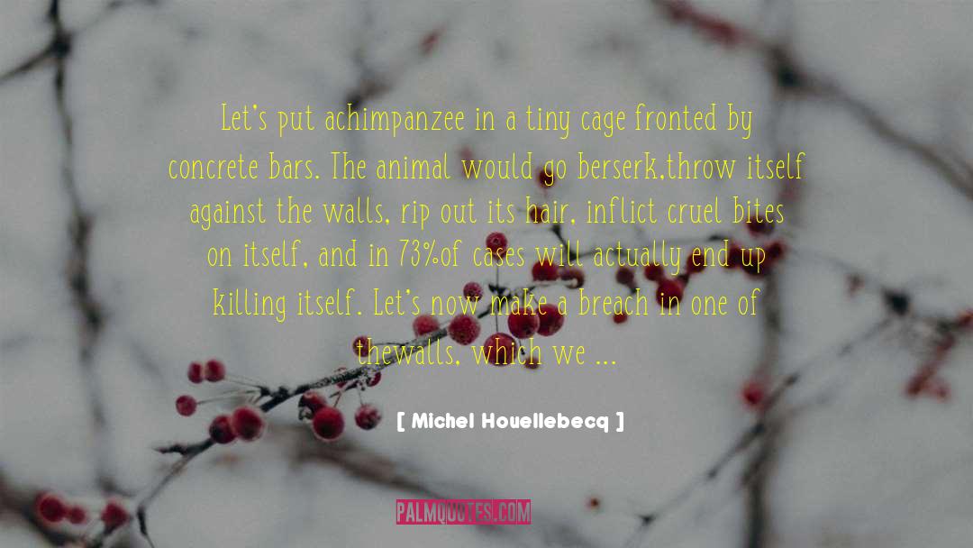 Michel Houellebecq Quotes: Let's put a<br>chimpanzee in a