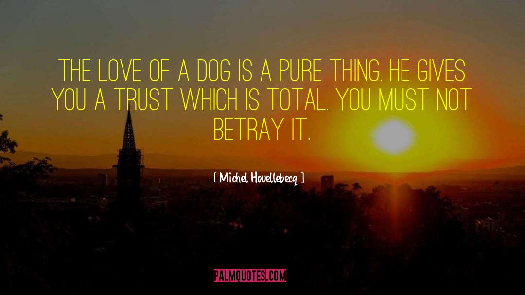 Michel Houellebecq Quotes: The love of a dog