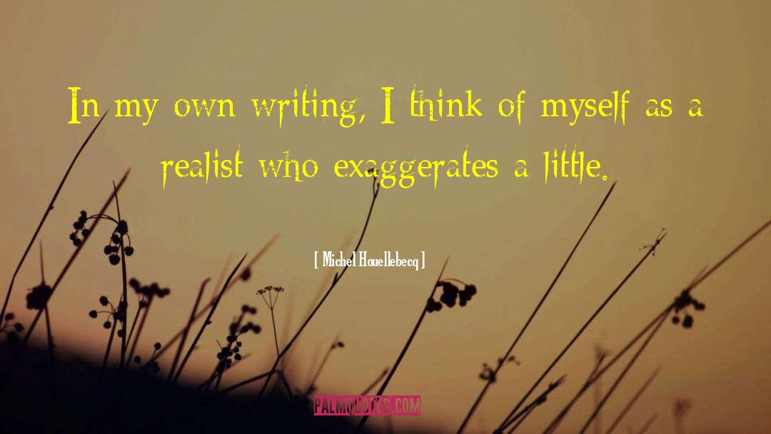 Michel Houellebecq Quotes: In my own writing, I