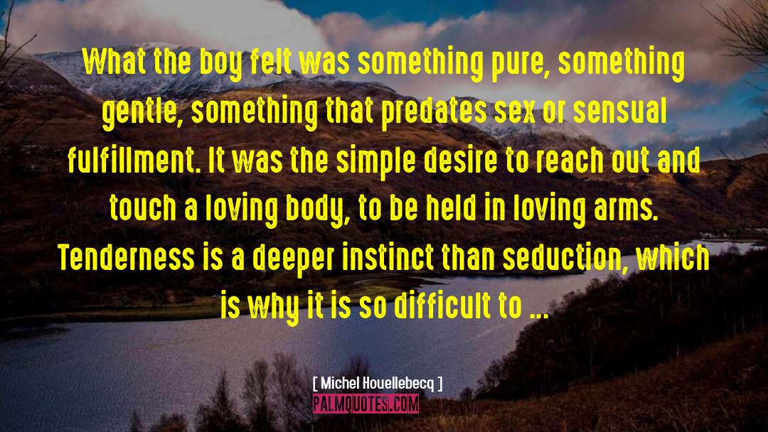 Michel Houellebecq Quotes: What the boy felt was