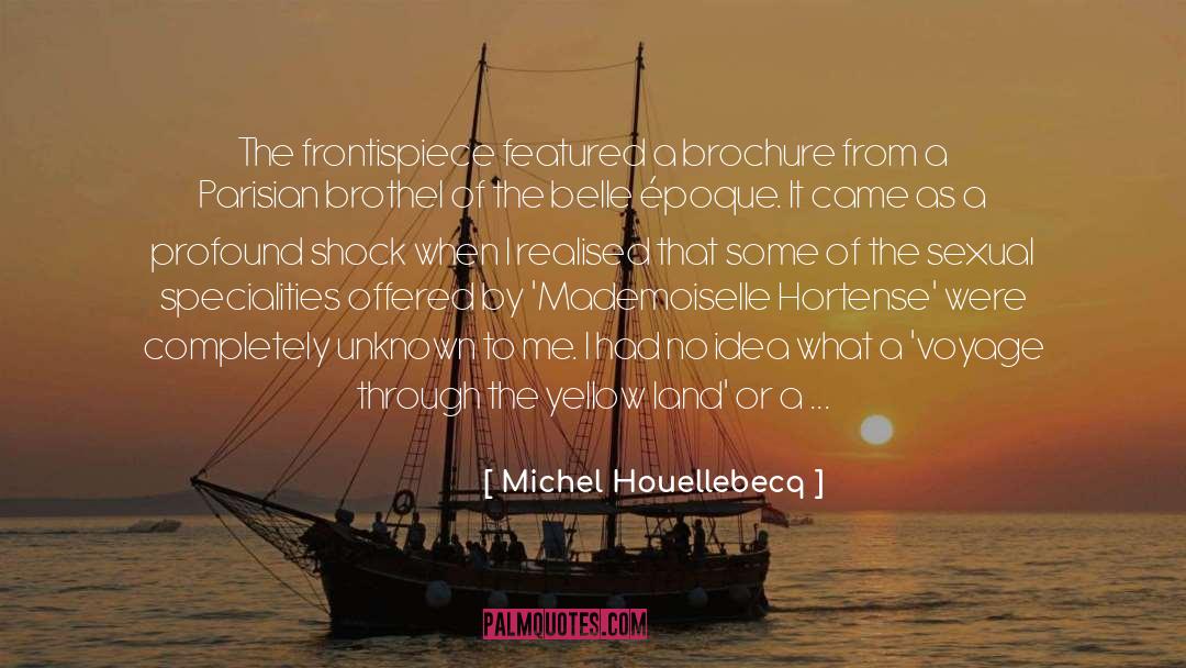 Michel Houellebecq Quotes: The frontispiece featured a brochure