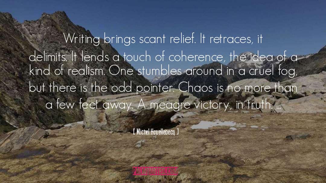 Michel Houellebecq Quotes: Writing brings scant relief. It