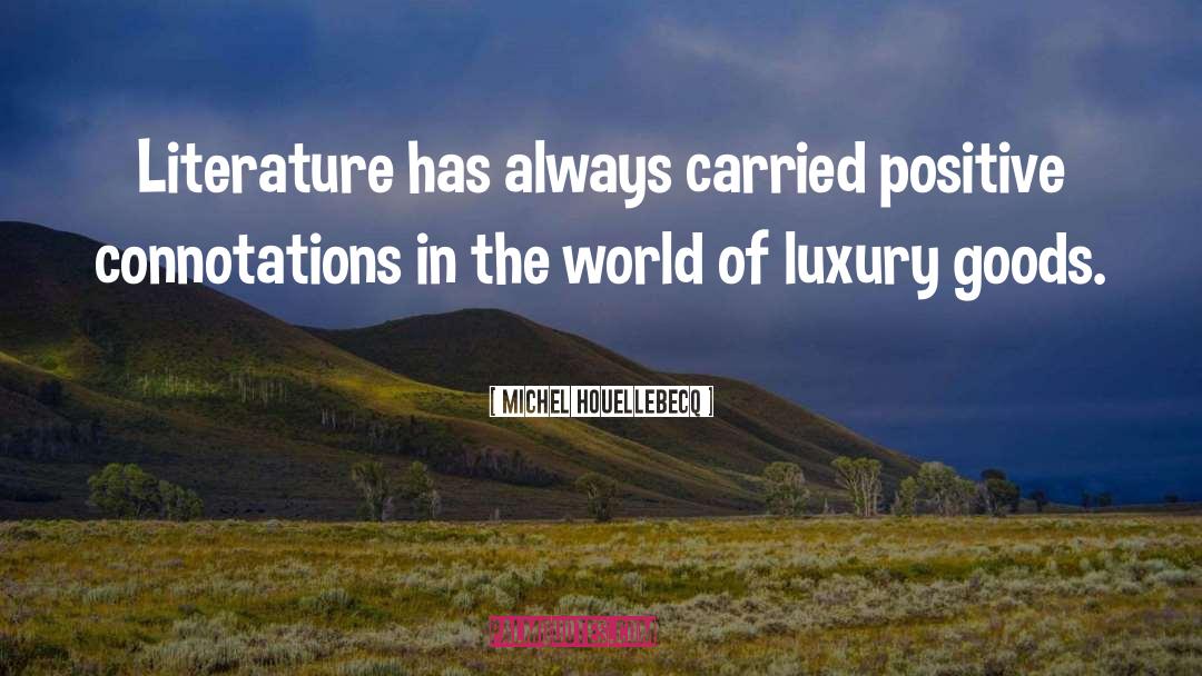 Michel Houellebecq Quotes: Literature has always carried positive
