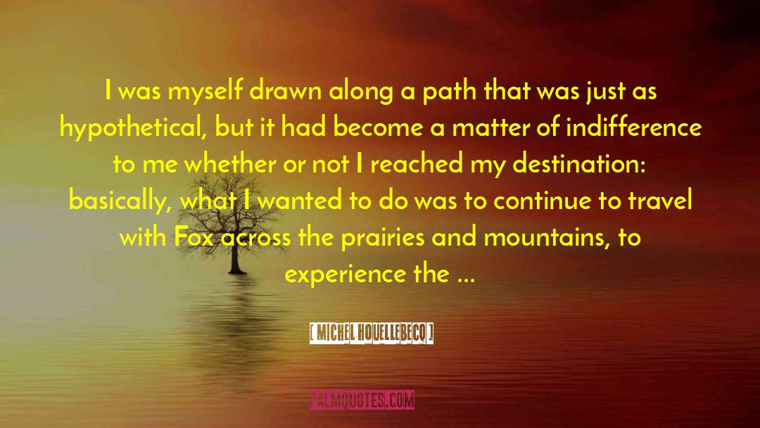 Michel Houellebecq Quotes: I was myself drawn along