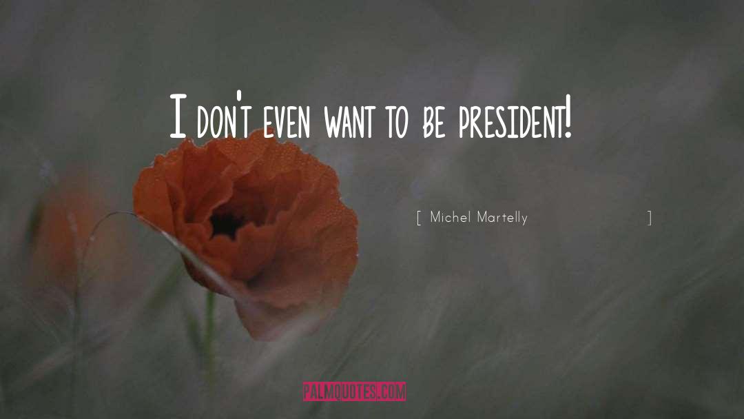 Michel Martelly Quotes: I don't even want to