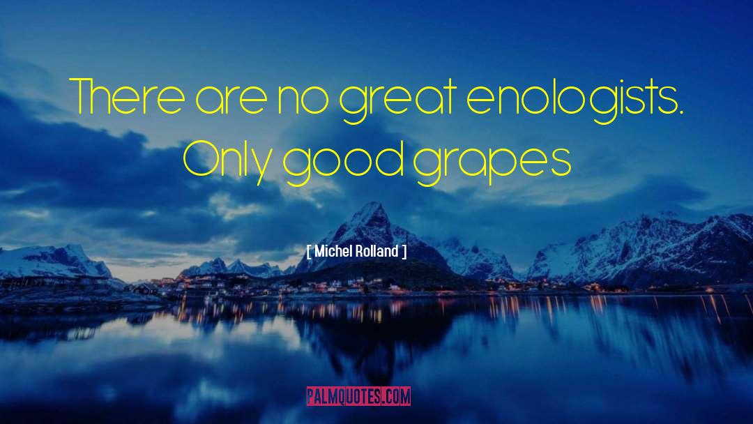 Michel Rolland Quotes: There are no great enologists.
