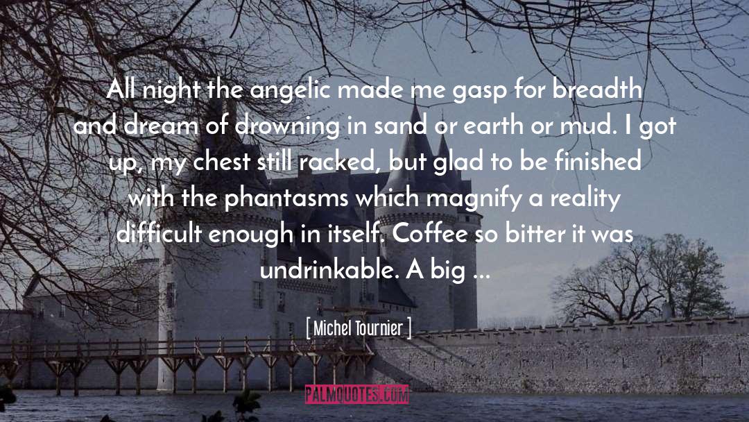 Michel Tournier Quotes: All night the angelic made