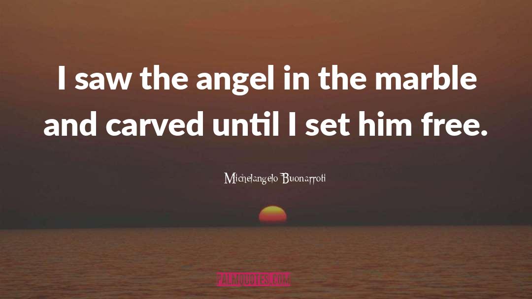 Michelangelo Buonarroti Quotes: I saw the angel in