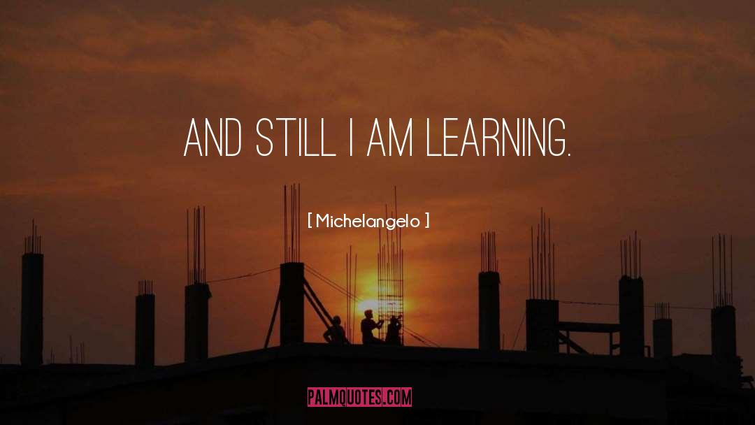 Michelangelo Quotes: And still I am learning.