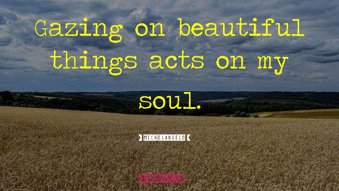 Michelangelo Quotes: Gazing on beautiful things acts