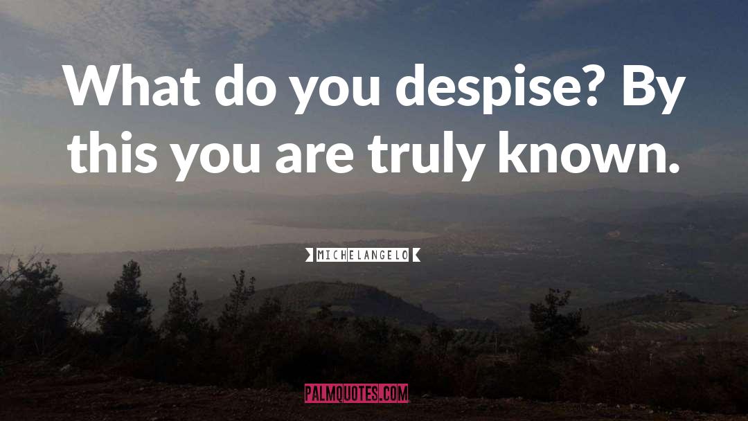 Michelangelo Quotes: What do you despise? By