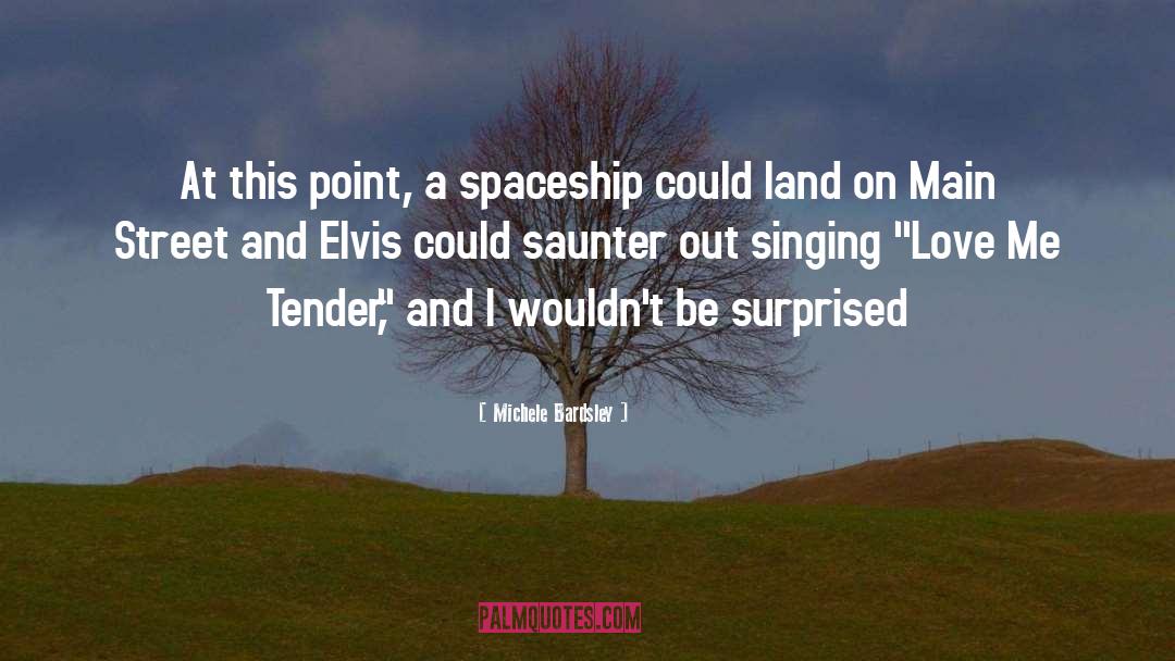 Michele Bardsley Quotes: At this point, a spaceship