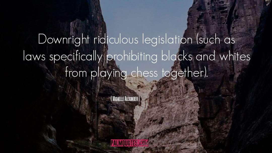 Michelle Alexander Quotes: Downright ridiculous legislation (such as