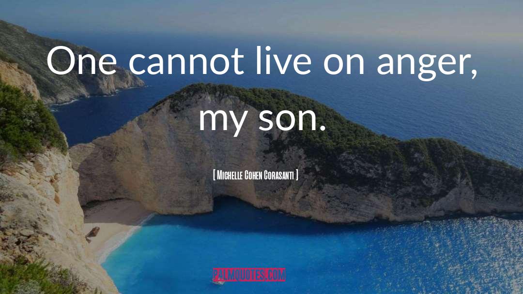 Michelle Cohen Corasanti Quotes: One cannot live on anger,
