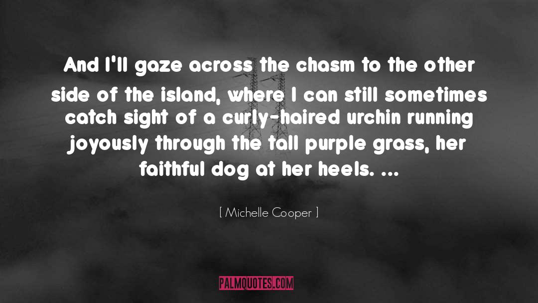Michelle Cooper Quotes: And I'll gaze across the
