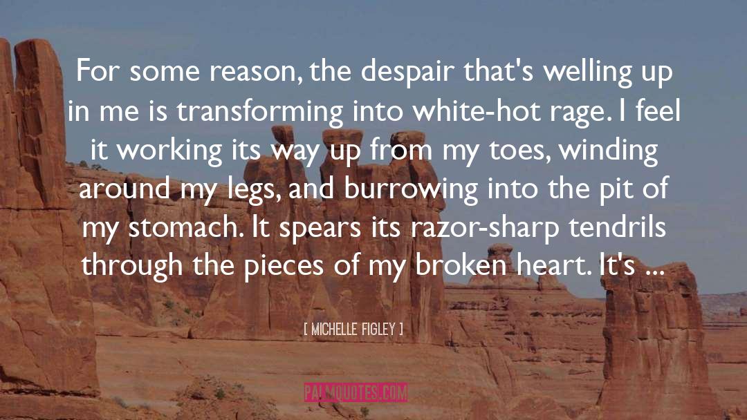 Michelle Figley Quotes: For some reason, the despair