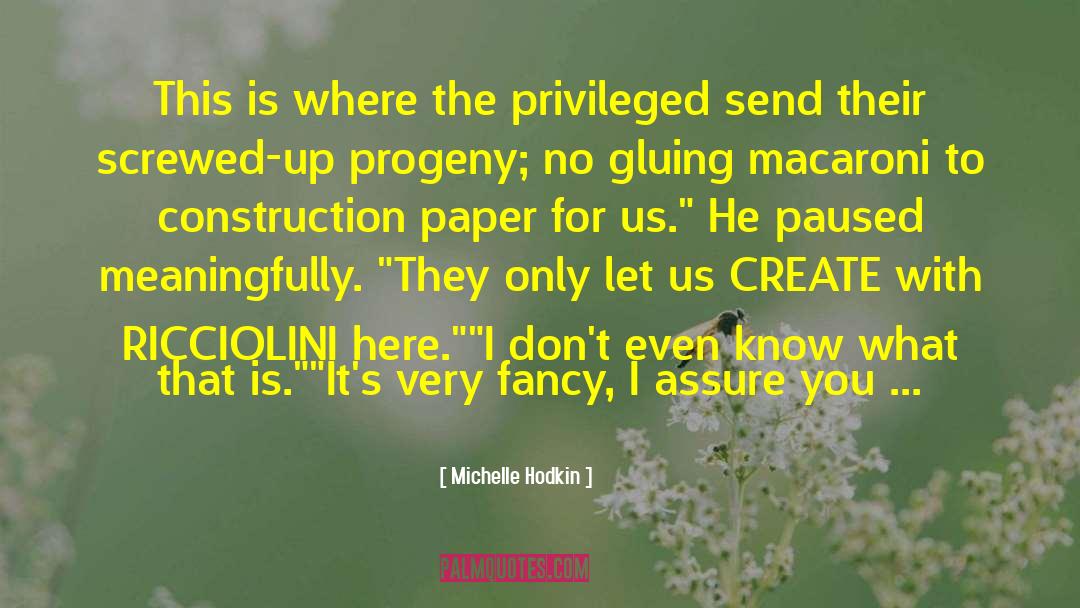 Michelle Hodkin Quotes: This is where the privileged