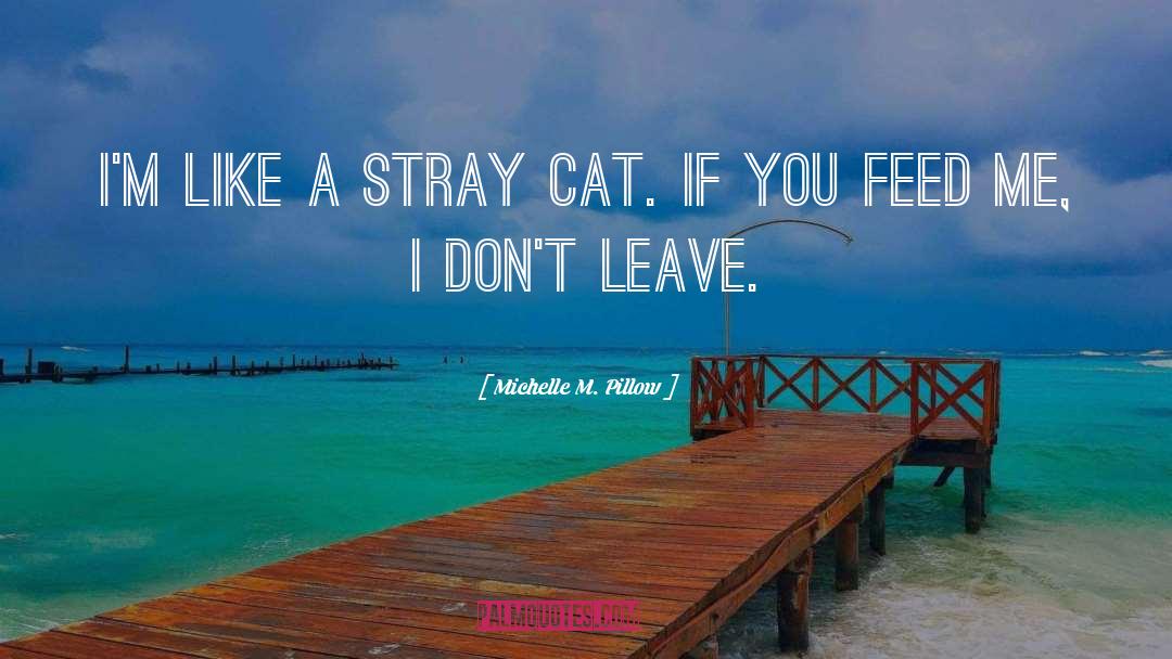 Michelle M. Pillow Quotes: I'm like a stray cat.