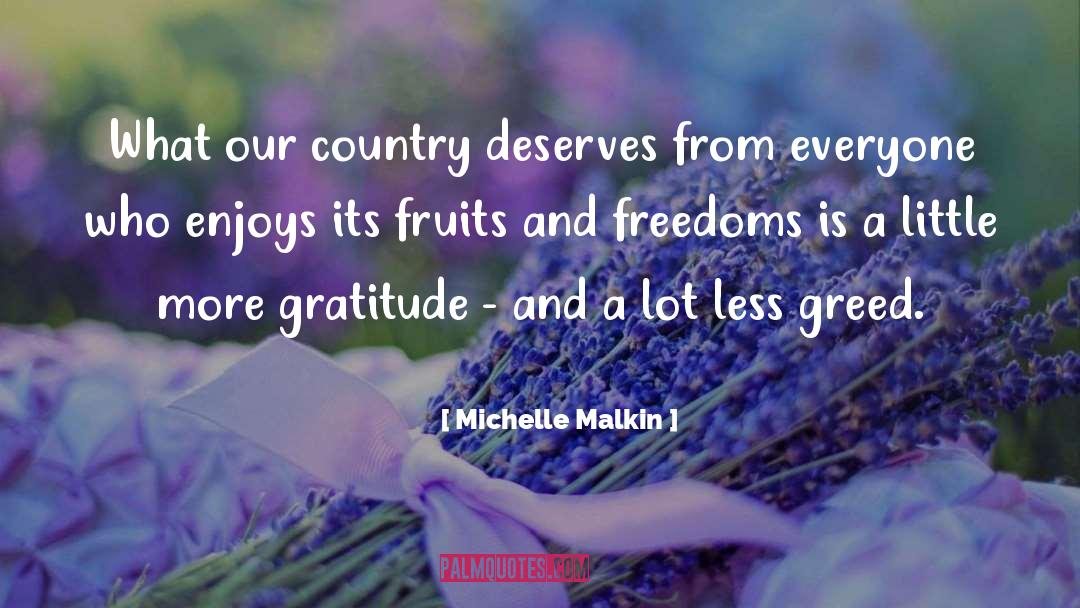 Michelle Malkin Quotes: What our country deserves from