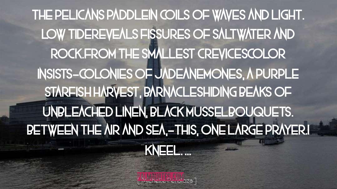 Michelle Peñaloza Quotes: The pelicans paddle<br />in coils