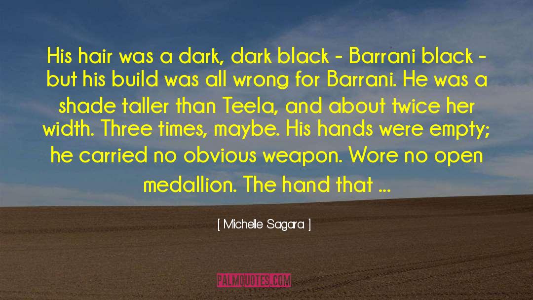 Michelle Sagara Quotes: His hair was a dark,