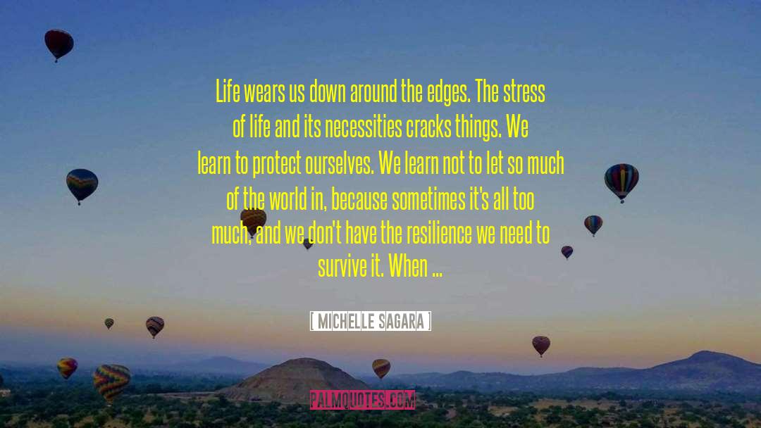 Michelle Sagara Quotes: Life wears us down around
