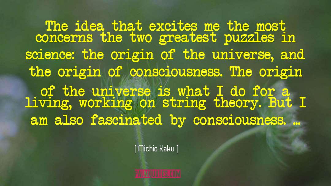 Michio Kaku Quotes: The idea that excites me