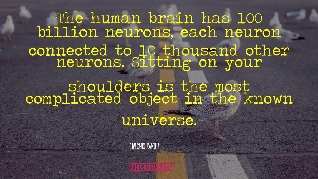 Michio Kaku Quotes: The human brain has 100