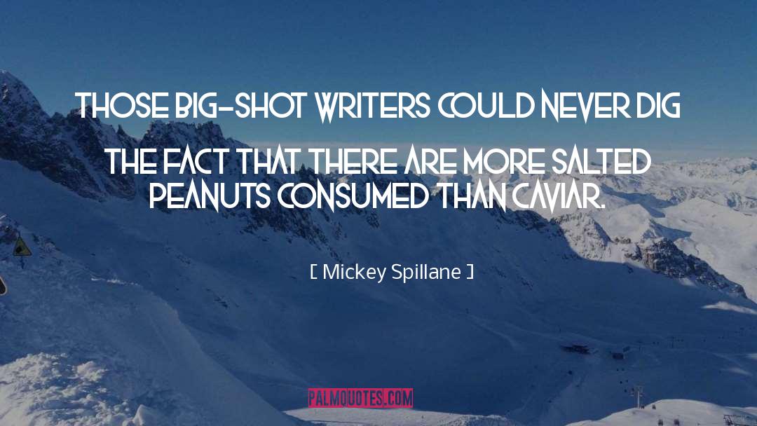 Mickey Spillane Quotes: Those big-shot writers could never