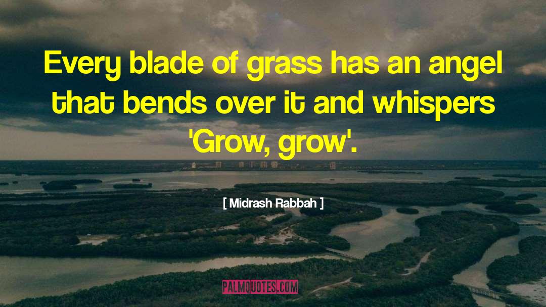 Midrash Rabbah Quotes: Every blade of grass has