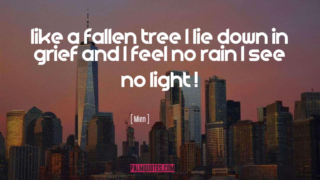 Mien Quotes: like a fallen tree I