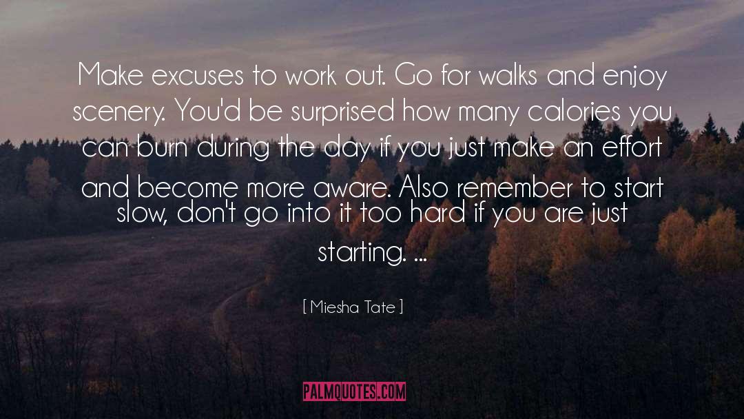 Miesha Tate Quotes: Make excuses to work out.