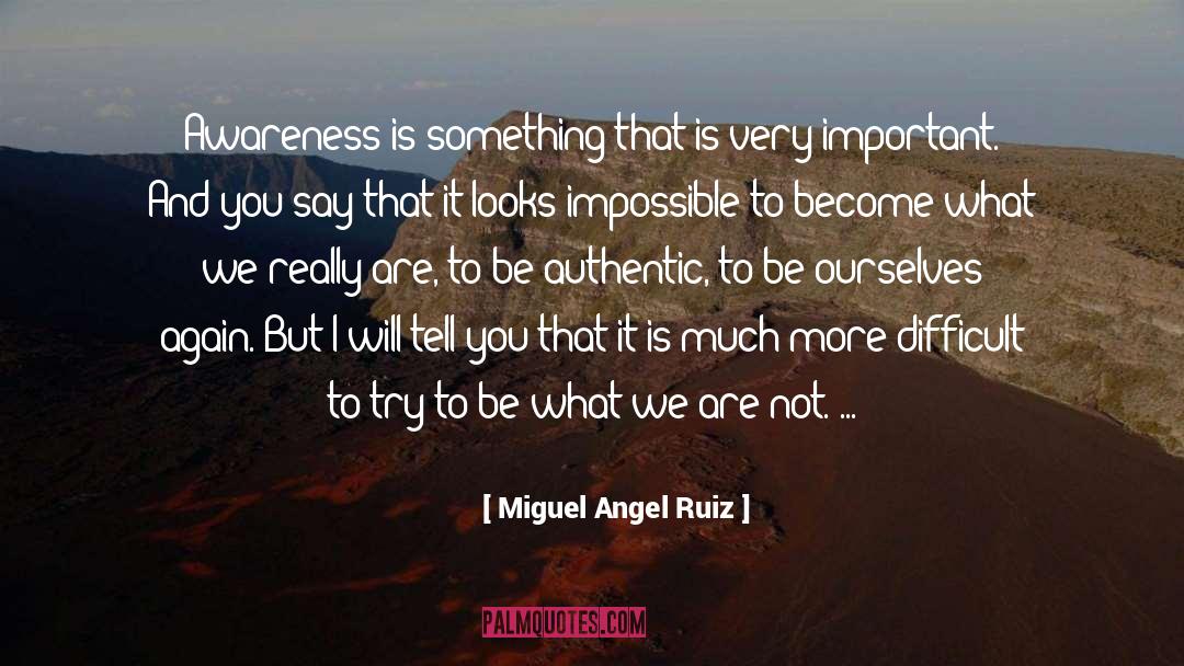 Miguel Angel Ruiz Quotes: Awareness is something that is