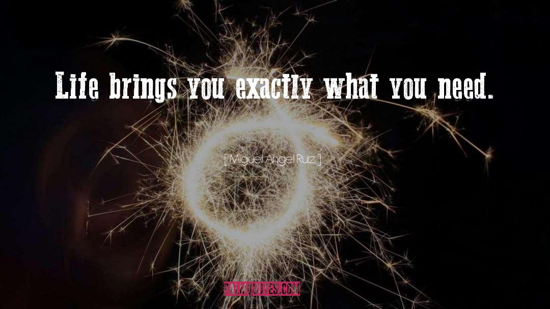 Miguel Angel Ruiz Quotes: Life brings you exactly what