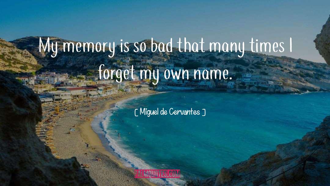 Miguel De Cervantes Quotes: My memory is so bad