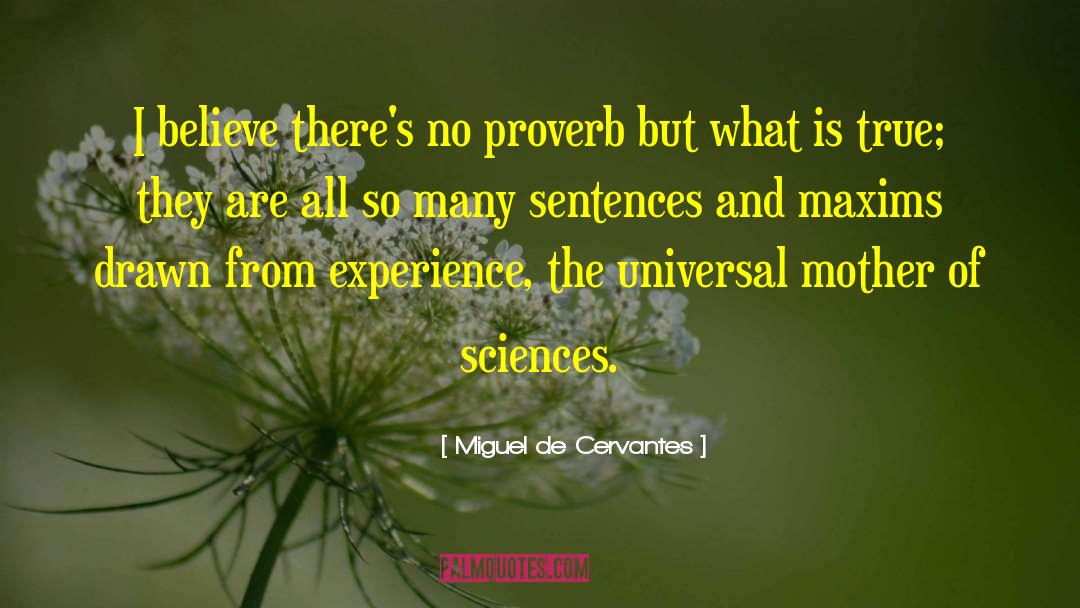 Miguel De Cervantes Quotes: I believe there's no proverb