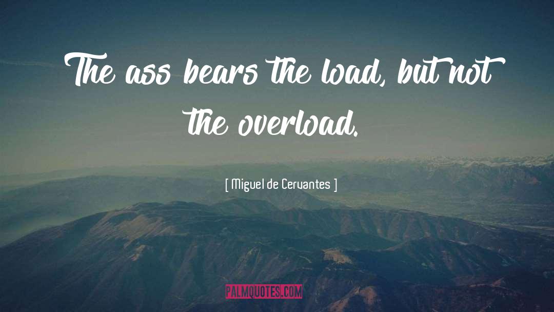 Miguel De Cervantes Quotes: The ass bears the load,